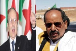 بوتفليقة يؤكد على دعم الجزائر للحوار و “مساندة سلطان الحق” في القضية الصحراوية