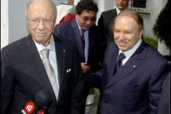 الوزير الاول التونسي يعبر عن تطلع بلاده لبناء مستقبل مشترك مع الجزائر بما يخدم مصلحة البلدين