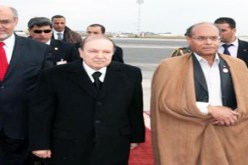 المرزوقي يسعى إلى تعزيز علاقات الأخوة بين الجزائر وتونس