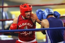 تعيين محمد عياش مديرا فنيا جديدا للاتحادية الجزائرية للملاكمة