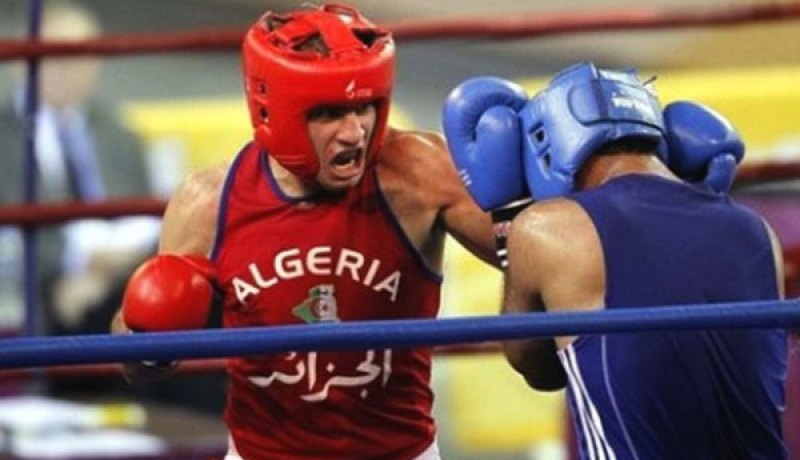 تعيين محمد عياش مديرا فنيا جديدا للاتحادية الجزائرية للملاكمة