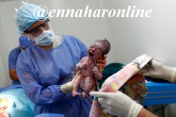 أزيـــد مـــن 120 ألـــف جنيـــن يحـــرق سنـــويـــا