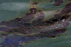 بي.بي: تكلفة معالجة تسرب النفط بخليج المكسيك 100 مليون دولار يوميا