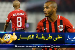 بالفيديو.. براهيمي يضيف هدف جديد لرصيده