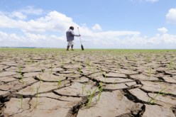 27 مليون دولار لمواجهة آثار الجفاف في البرازيل