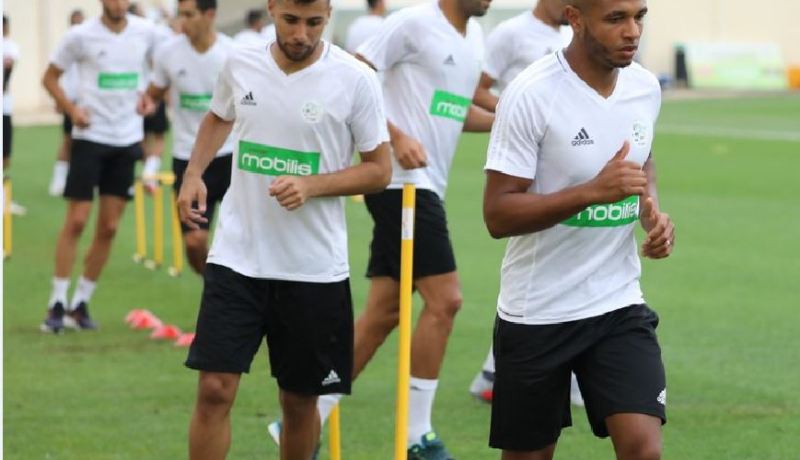 رسميا ..بلماضي يسرح براهيمي بعد تأكد إصابته