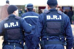 BRI البليدة تُطيح بمروج مخدرات وتحجز كيف ومهلوسات