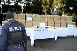 زطلة المخزن تدخل العاصمة بالقناطير