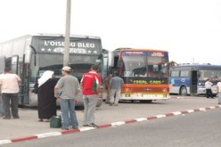 ناقلو المسافرين بالمحطة البرية للنقل العمومي بتيزي وزو في إضراب