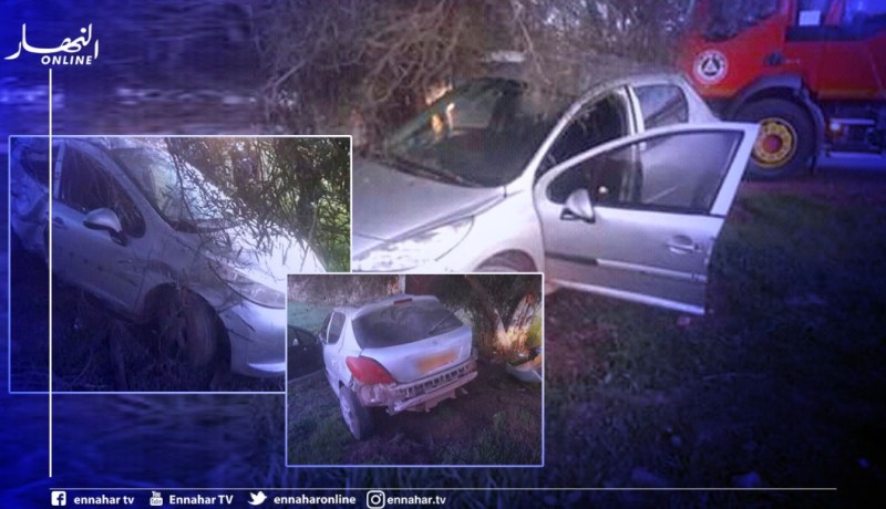 الشلف: إصابة شخص بجروح في إصطدام سيارة بشجرة في أم الدروع