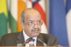 عمار بلاني: استعمال القوة يجب ان يتم بتبصر من أجل تجنب اي خلط بين سكان الطوارق والجماعات الارهابية