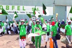 الجامعة التونسية تفكر في رفع عدد تذاكر أنصار الخضر إلى 7 آلاف للاستفادة ماليا