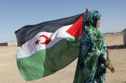 جبهة البوليساريو ستصعد من الكفاح التحريري الوطني أمام تقاعس الأمم المتحدة عن ضمان تنفيذ ولاية بعثة الأمم المتحدة للاستفتاء في الصحراء الغربية