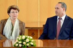 عز الدين ميهوبي يتسلم مهامه الجديدة على رأس وزارة الثقافة