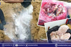 عين الدفلى: حجز 70 كلغ من اللحوم الفاسدة ومتابعة صاحب القصابة قضائيا ببومدفع