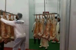 الجزارون يستنجدون بالوالي لفتح المسالخ البلدية المغلقة بالشلف