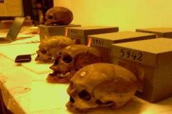 زيتوني.. الديبلوماسية تواصل حوارها لاسترجاع جماجم الشهداء من فرنسا