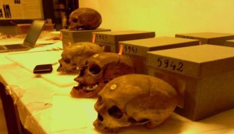 زيتوني.. الديبلوماسية تواصل حوارها لاسترجاع جماجم الشهداء من فرنسا