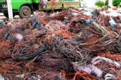 حجز 11 قنطارا من النفايات النحاسية و3.600 خرطوشة سجائر في تلمسان