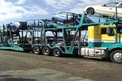 إرهابي‮ ‬فار ضمن عصابة استولت على ‮8 ‬سيارات جديدة من شاحنة بمقطورة في‮ ‬ميلة