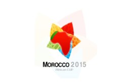 المغرب‮ ‬يستضيف رسميا نهائيات كأس إفريقيا ‮5102‬