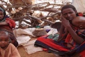 20مليونا شخصا يواجهون المجاعة بسبب الحروب