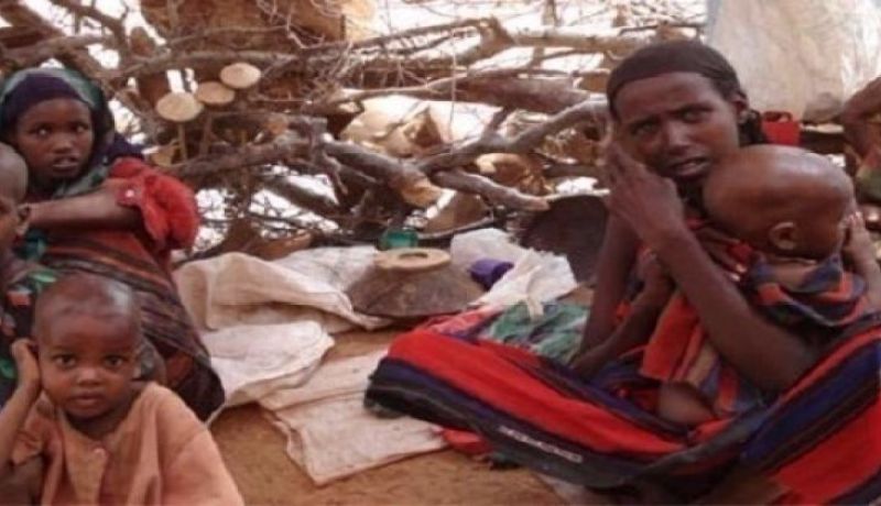 مليونا يواجهون المجاعة بسبب الحروب20