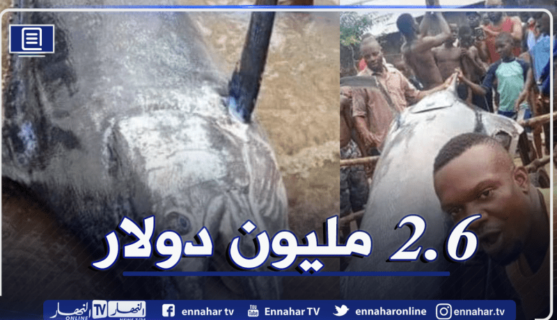 يصطاد سمكة نادرة وباهضة الثمن ويلتهمها مع أصدقائه!