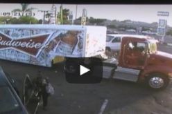 بالفيديو .. امرأة تختطف طفلين بسيارة والدهما