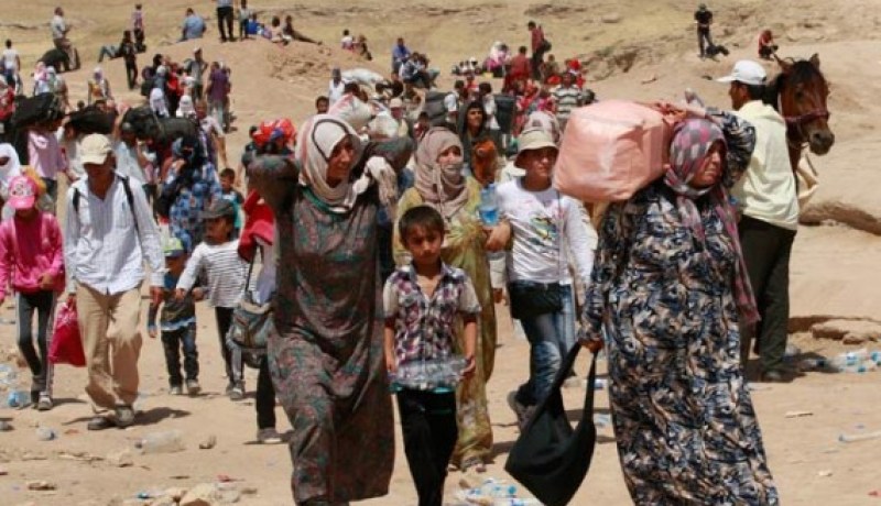 ألمانيا تحدد 5 نقاط لعبور اللاجئين على طول الحدود مع النمسا