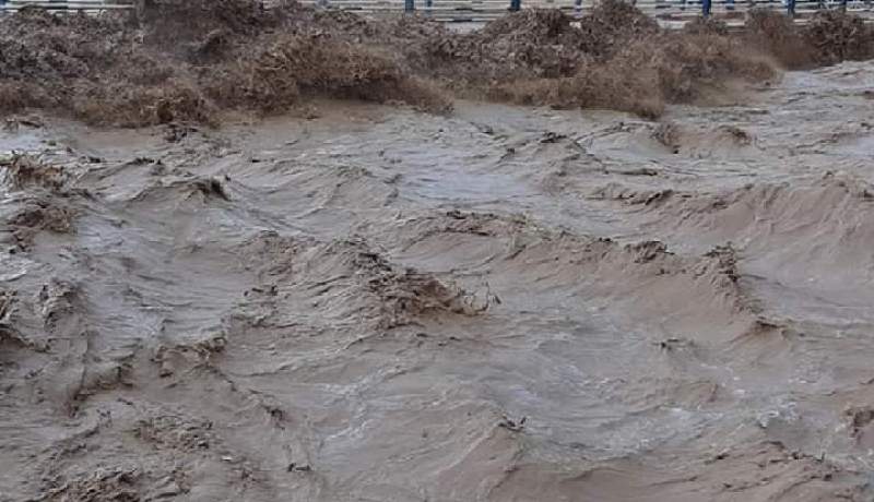 المسيلة : عون حماية مدنية بالزي المدني ينقذ طفل جرفته سيول وادي الشيخ