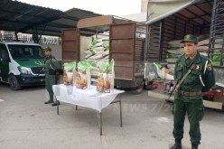 حجز 145 قنطار من السميد الممتاز موجهة لإغراق السوق بطريقة غير شرعية بعنابة