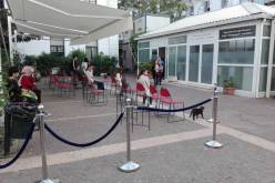 900 مسجل جديد بـccf خلال 24 ساعة