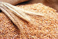 حجز 190 قنطارا من القمح اللين في المسيلة  كان موجها للتهريب