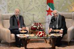 عبد الرحمان عرعار : تطلعات الحراك والشعب يجب أن تتحقق ولابد من الإستثمار في الشباب