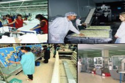 أكثر من 5000 منصب جديد في الدورة التمهينية المقبلة بتيزي وزو