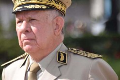 تعرف على اللواء شنقريحة في أسطر