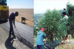 توظيف 2900 شخص في ولاية تيسمسيلت خلال 2011