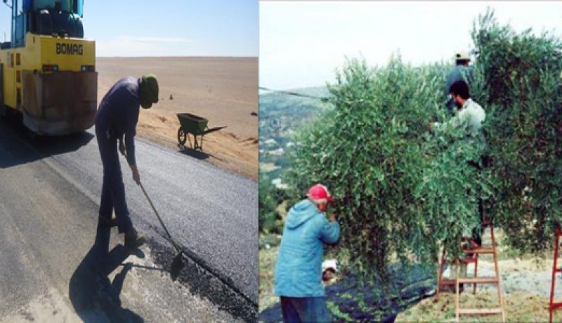 توظيف 2900 شخص في ولاية تيسمسيلت خلال 2011