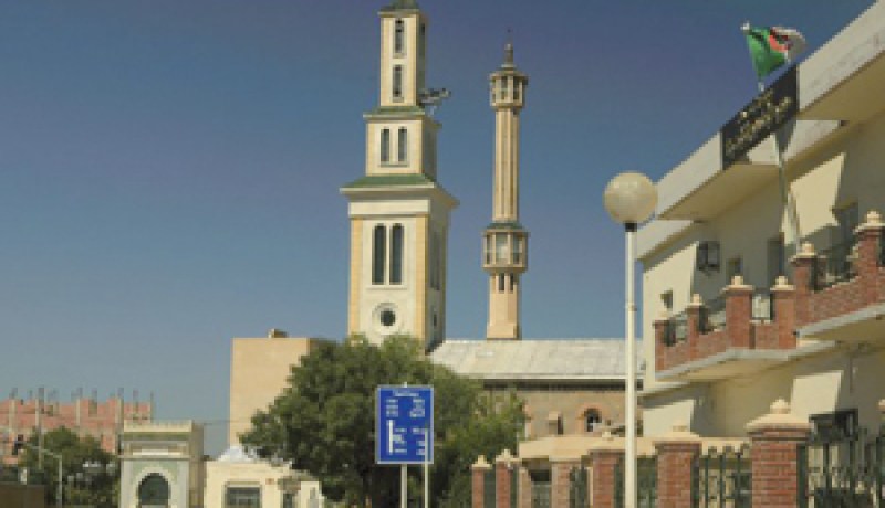 رحلة في إيكوزيوم…مدينة شلغوم العيد