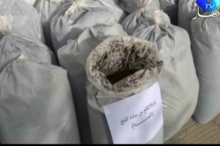 حجز 25 ألف كيس من الشمة المهربة في سوق أهراس