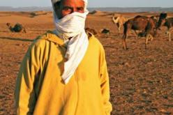 أمير “القاعدة” المعزول في الوادي يتنكر في زي رعاة الإبل
