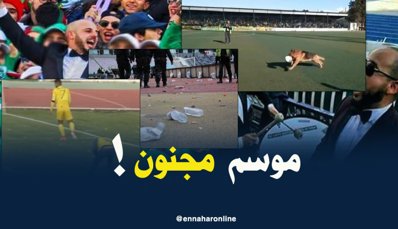 بالفيديو.. السماء تُمطر حجراً الكلاب والسحر.. في موسم مجنون للكرة الجزائرية !
