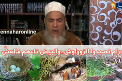الشيخ شمس الدين:” صيد العصافير و ترك بيضها في الاعشاش حرام “
