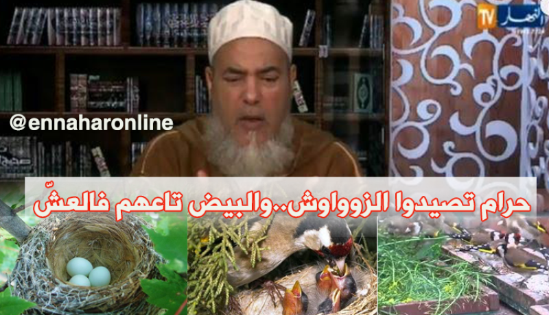 الشيخ شمس الدين:” صيد العصافير و ترك بيضها في الاعشاش حرام “