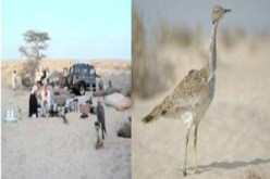 أمير سعودي يقود وفدا من الخدم والحشم في صحراء الوادي