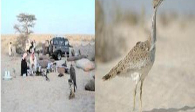 أمير سعودي يقود وفدا من الخدم والحشم في صحراء الوادي