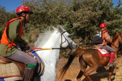 جمعيات مهتمة بالتراث الثقافي تدعو لتوقيف أشغال مشروع يصادر أحد مضامير سباق الخيل