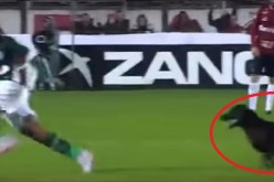 بالفيديو.. كلب يطارد لاعبا أثناء مباراة لكرة القدم