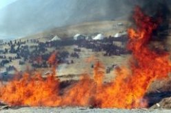 حصيلة ضحايا زلزال الصين ترتفع إلى 1339 ضحية